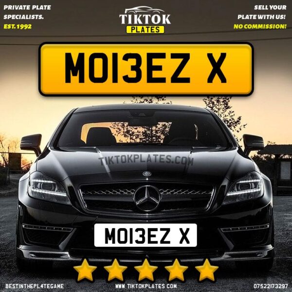 MO13EZ X - Image 2